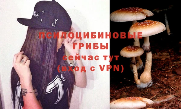 винт Белокуриха