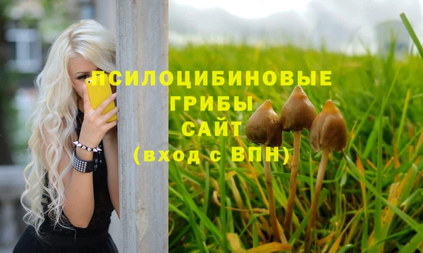 стафф Беломорск