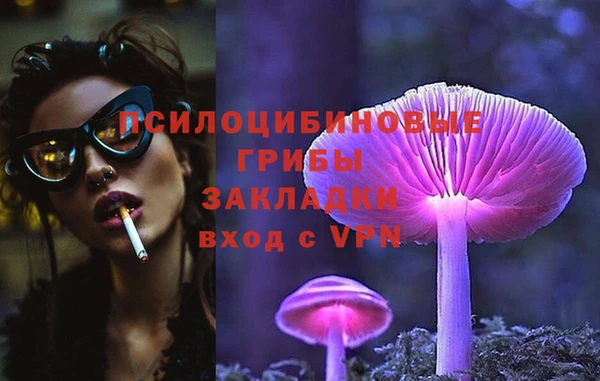 винт Белокуриха