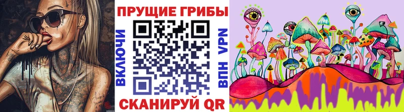 Купить закладки  Чернушка  Галлюциногенные грибы Psilocybine cubensis 